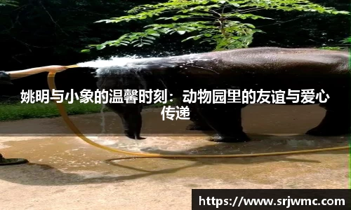 yy易游体育